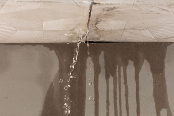 Professional Sewage Cleanup technician working in Jonesboro, ME